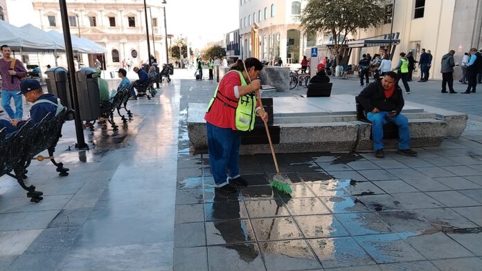 WhatsApp Image 2024-11-12 at 11.46.57 AM