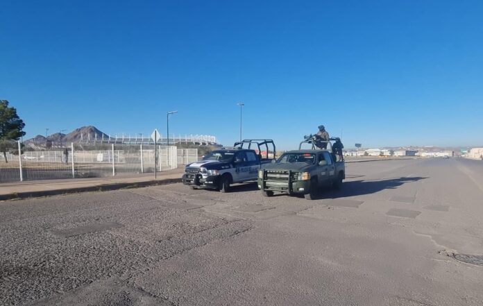 WhatsApp Image 2024-11-14 at 8.58.21 AM