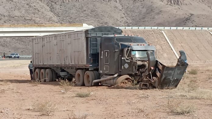 WhatsApp Image 2024-11-26 at 3.38.21 PM