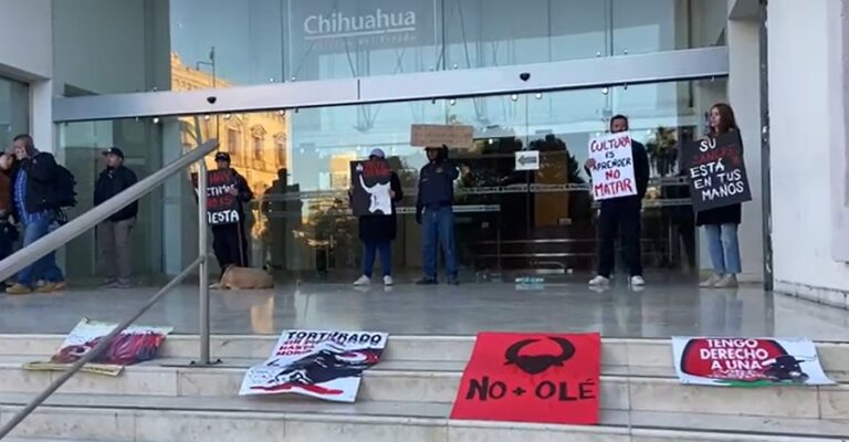 Toman antitaurinos Héroes de Reforma  