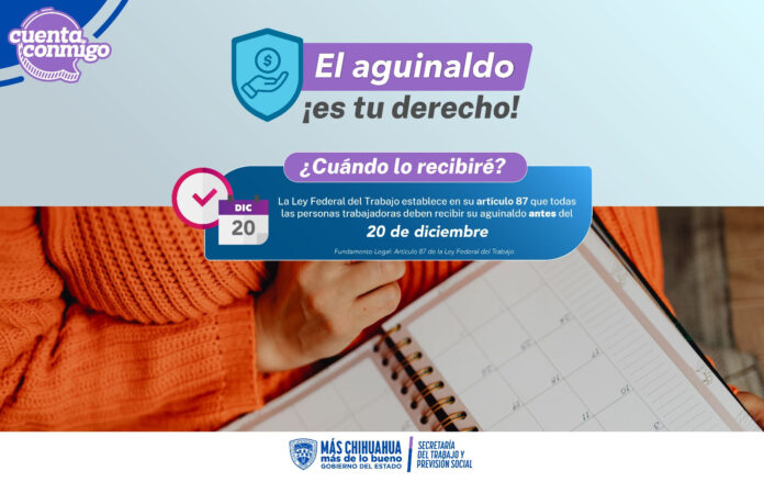 WhatsApp Image 2024-12-02 at 12.28.47 PM