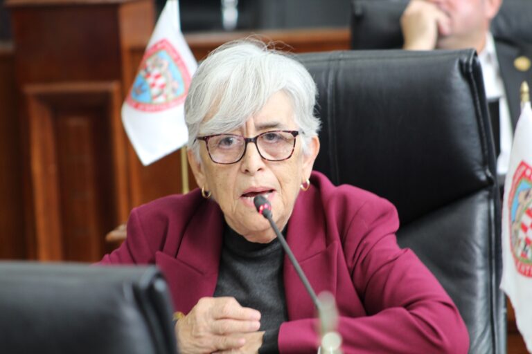 Sigue Chihuahua fallando a las personas con discapacidad, advierte diputada Herminia Gómez