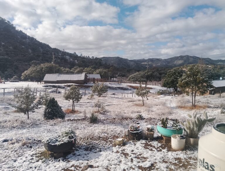 Prevé CEPC temperaturas frías para las próximas horas en Chihuahua