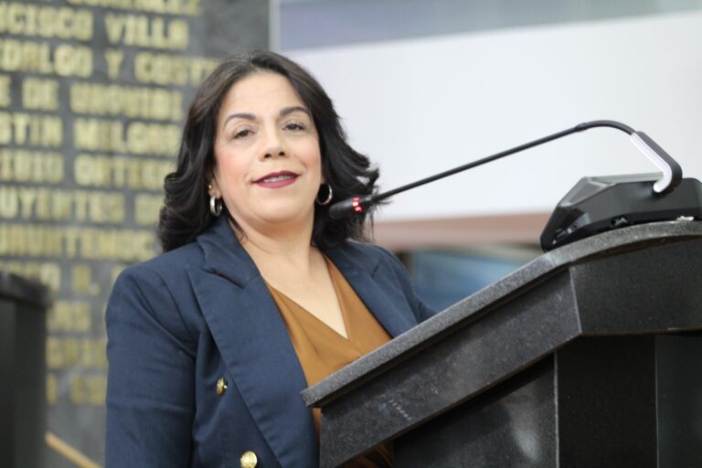 Urgente revisar comodatos que otorga Gobierno Estatal: Magdalena Rentería