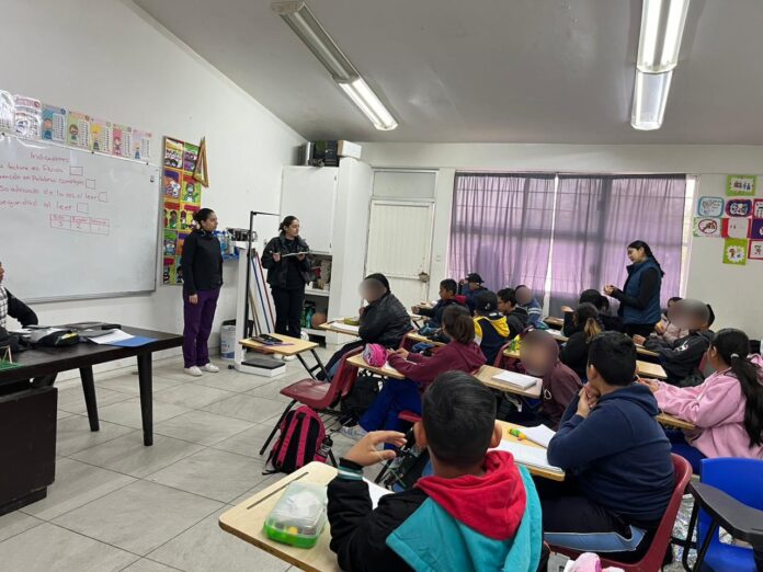 WhatsApp Image 2024-12-17 at 11.23.48 AM