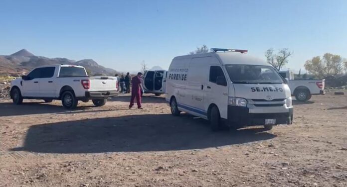 WhatsApp Image 2024-12-19 at 4.35.23 PM