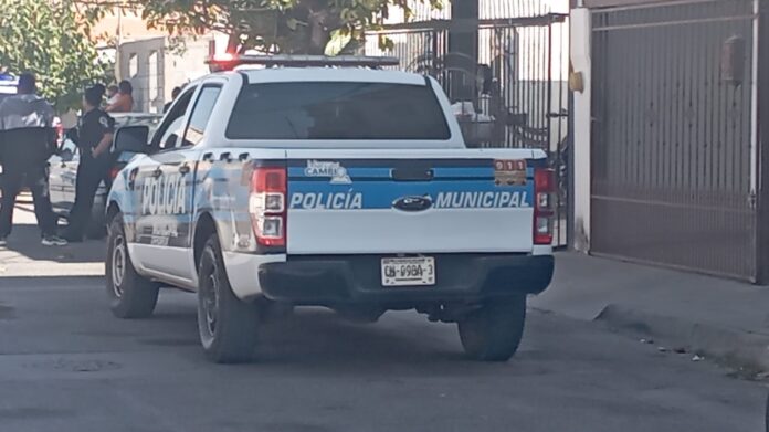 WhatsApp Image 2024-12-21 at 1.37.13 PM