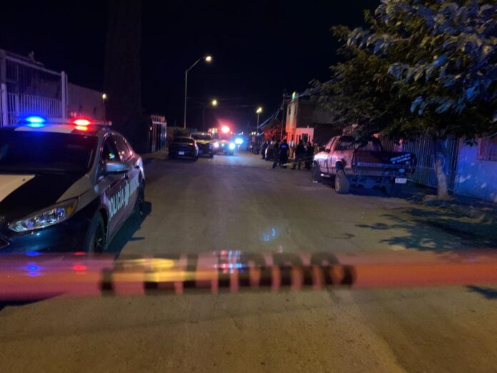 WhatsApp Image 2024-12-26 at 8.15.11 AM