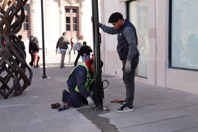 WhatsApp Image 2024-12-29 at 10.50.51 AM