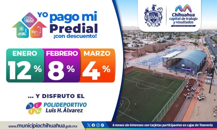 WhatsApp Image 2024-12-30 at 9.28.19 AM