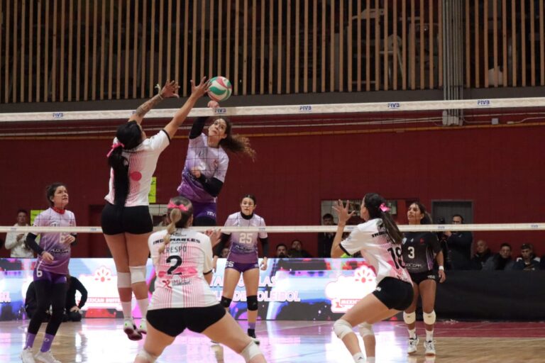Indomables femenil de voleibol e Indomables Basquetbol buscarán las primeras victorias