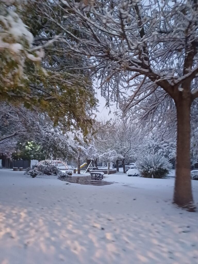 ¡Llegó la nieve a Chihuahua capital!
