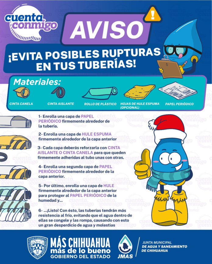 WhatsApp Image 2025-01-15 at 11.20.42 AM