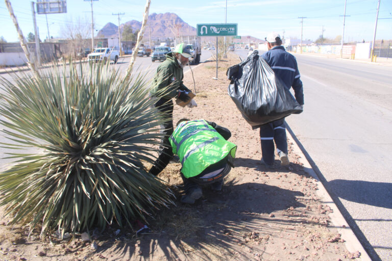 Trabaja Gobierno Municipal en limpieza de avenidas al sur de la ciudad