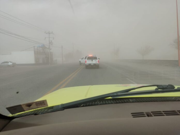 WhatsApp Image 2025-01-16 at 11.33.01 AM