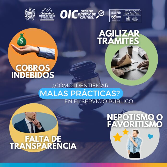 WhatsApp Image 2025-01-16 at 12.44.45 PM