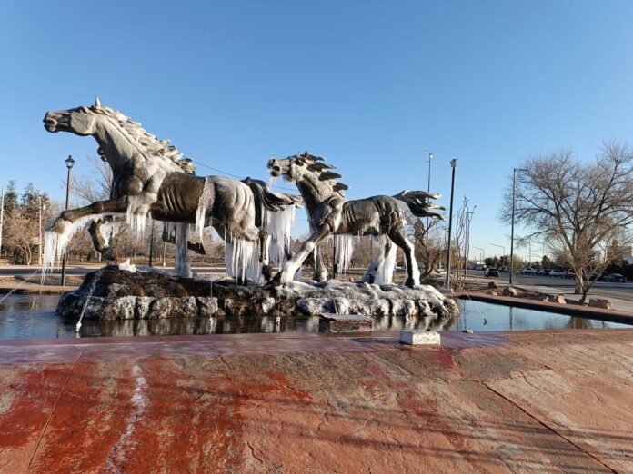 WhatsApp Image 2025-01-21 at 12.10.27 PM