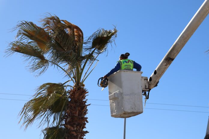 WhatsApp Image 2025-01-30 at 9.43.54 AM