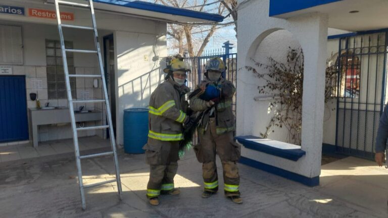 Rescatan bomberos un pavo real en la colonia El Futuro