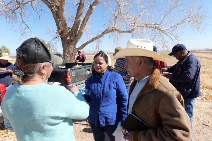 WhatsApp Image 2025-02-04 at 2.12.20 PM