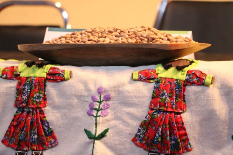 Fortalece Gobierno del Estado capacidades de productores de frijol en Chihuahua