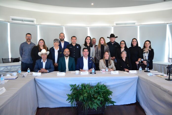 WhatsApp Image 2025-02-12 at 12.03.30 PM