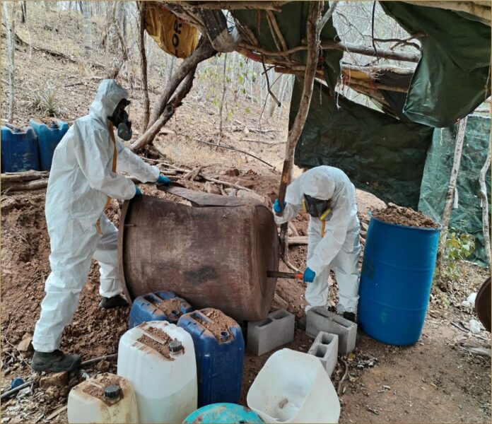 WhatsApp Image 2025-02-13 at 8.00.25 AM