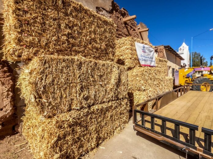 WhatsApp Image 2025-02-17 at 1.27.34 PM