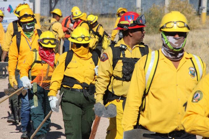 WhatsApp Image 2025-02-18 at 9.18.39 AM