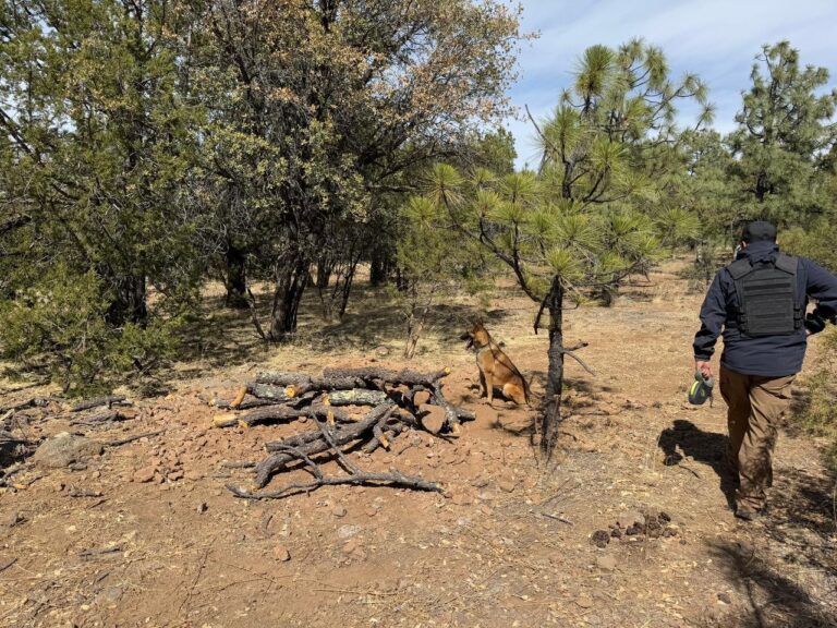 CLB localiza fosa y recupera cuerpo en La Mesa de Avena