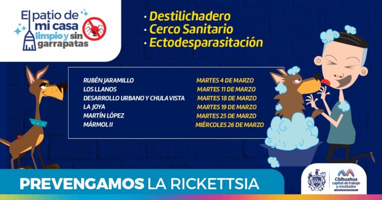 Conoce las colonias que visitará el programa “Patio de mi Casa” en el mes de marzo