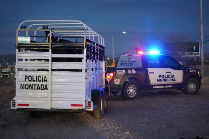 WhatsApp Image 2025-02-26 at 2.08.37 PM