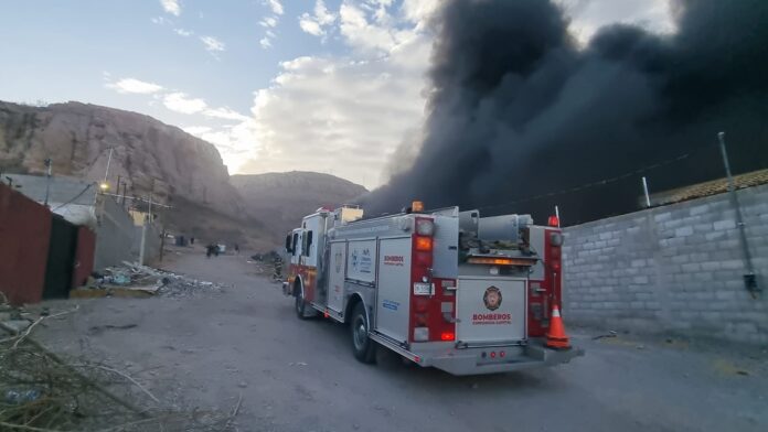 WhatsApp Image 2025-02-27 at 8.35.19 AM