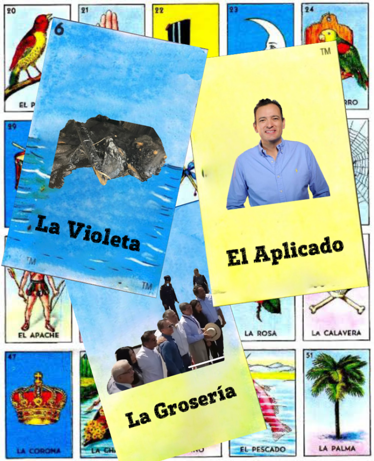 La Perrita Violeta, Bonilla reconocido y la Grosería a la Presidenta