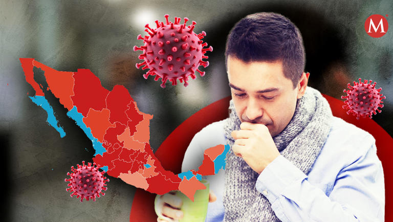 ¿Qué estados tienen más casos de tos ferina? Chihuahua Segundo Lugar a nivel Nacional