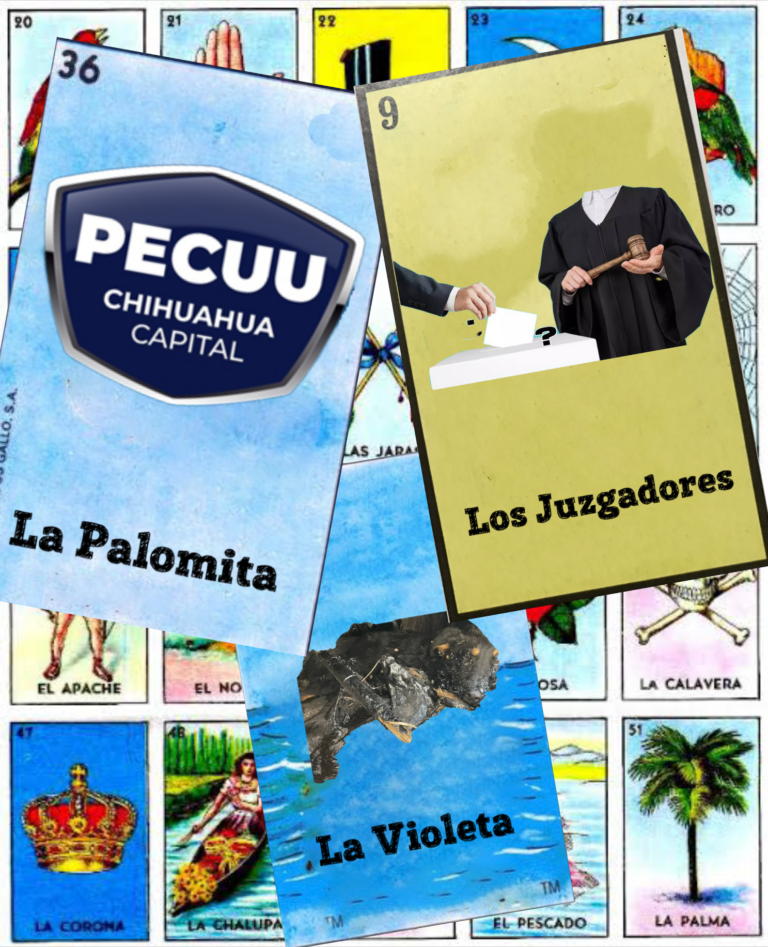 La Palomita para PECUU, Sigue Violeta y Reglas de campaña