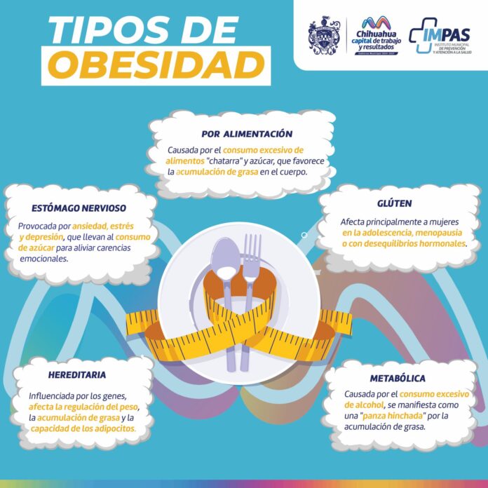 Imagen de WhatsApp 2025-03-11 a las 12.08.58_0a025184