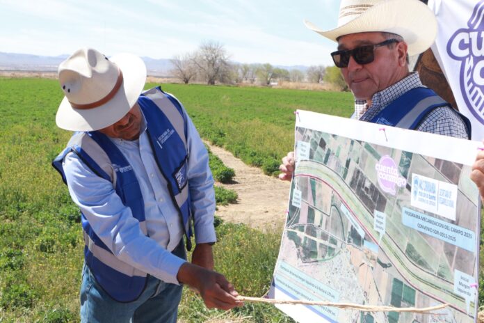 Imagen de WhatsApp 2025-03-11 a las 17.30.55_1ce8822c