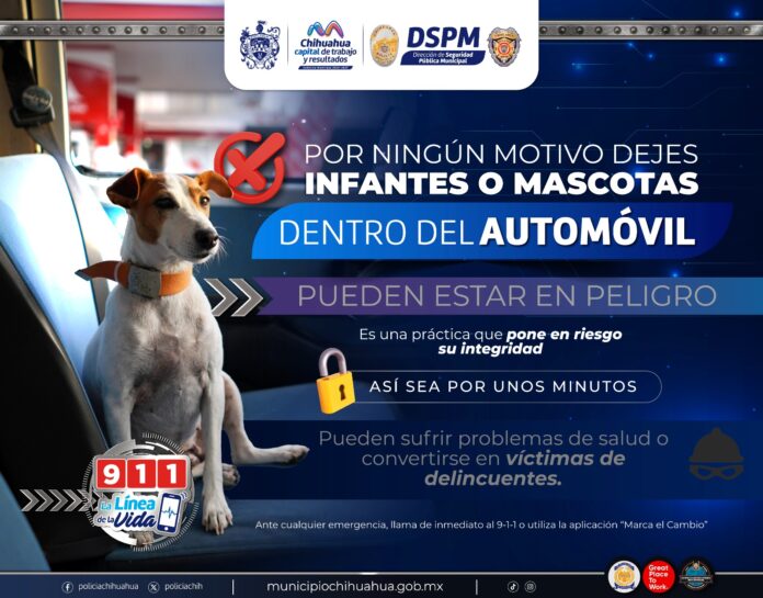 Imagen de WhatsApp 2025-03-13 a las 13.08.15_1b37431a