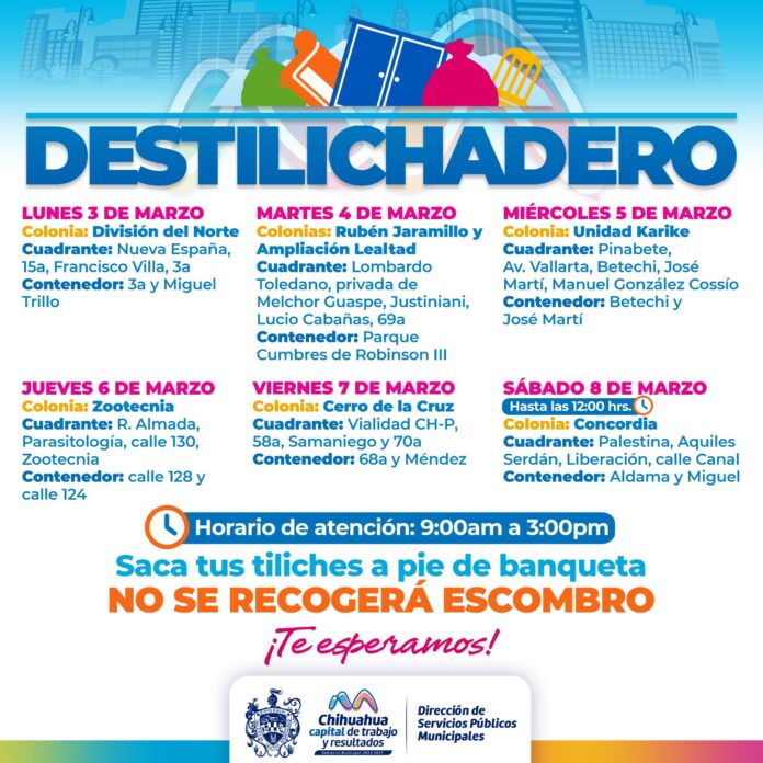 WhatsApp Image 2025-03-01 at 9.36.35 AM