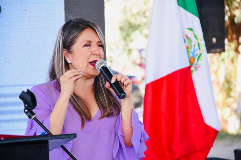 Apoyo económico directo a niñas y niños con cáncer sin seguridad social, nuevo programa humanista: Rosana Díaz