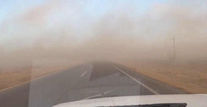 WhatsApp Image 2025-03-11 at 12.31.21 PM