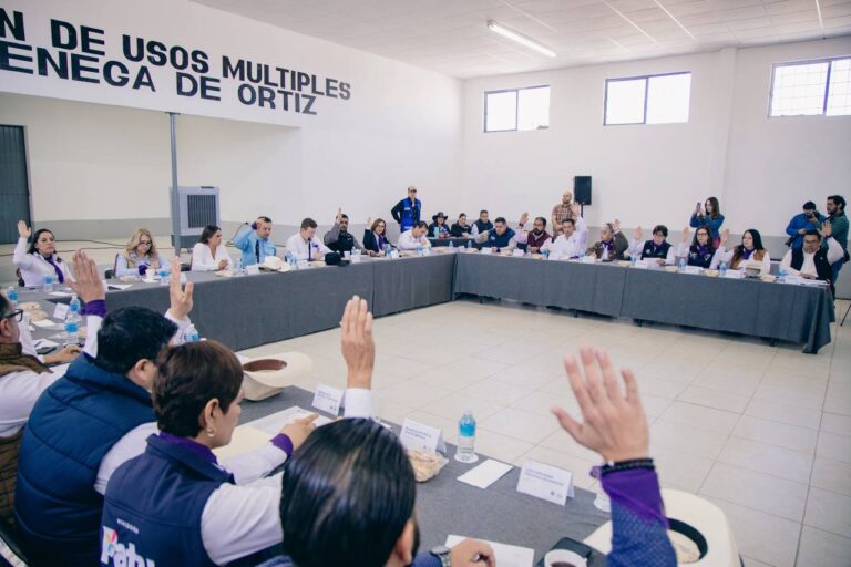 Avala Cabildo renovación de tres consejerías ciudadanas para consejo de transparencia