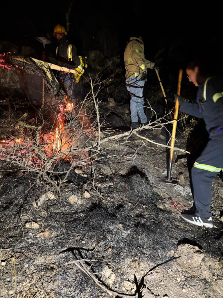 Brinda Protección Civil apoyo ante incendios forestales en el municipio de Madera