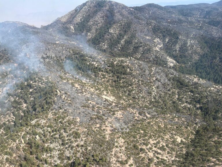 Inicia aeronave operaciones para mitigar incendios en Casas Grandes
