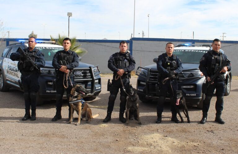 Cuidan a las familias de Chihuahua 14 perros policía de la DSPM