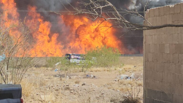 Se incendio tarimera al sur de la ciudad