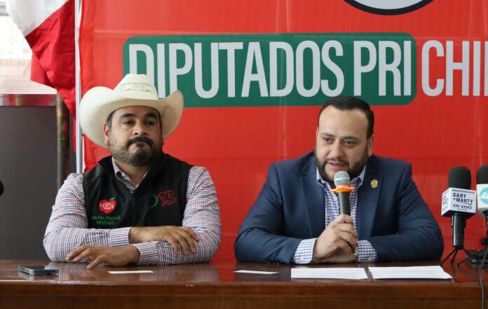 WhatsApp Image 2025-03-25 at 5.01.51 PM