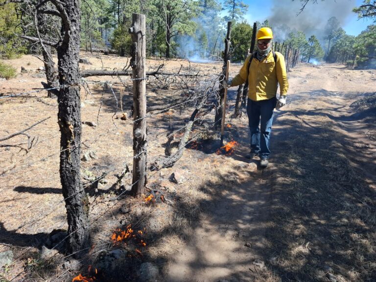 Mantiene Gobierno del Estado presencia en el combate a incendios forestales