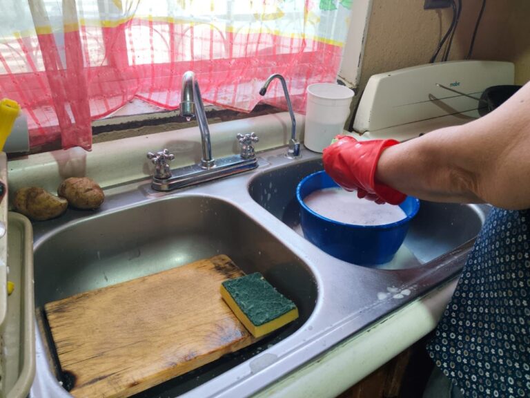 La UACH te dice cómo usar desinfectante en alimentos de forma segura en el hogar.